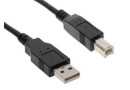 Кабель USB 2.0 Cable 3M А-В Gembird - зображення 1