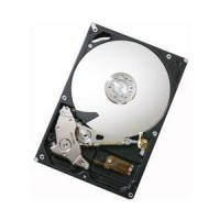 Жорсткий диск HDD 320Gb Hitachi HCS725032VLA380