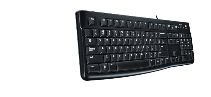 Клавіатура Logitech K120 black USB - зображення 2