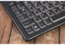 Клавіатура Genius LuxeMate 100 USB - зображення 4