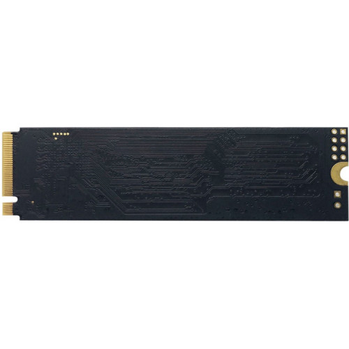 Накопичувач SSD NVMe M.2 256GB Patriot P300 (P300P256GM28) - зображення 2