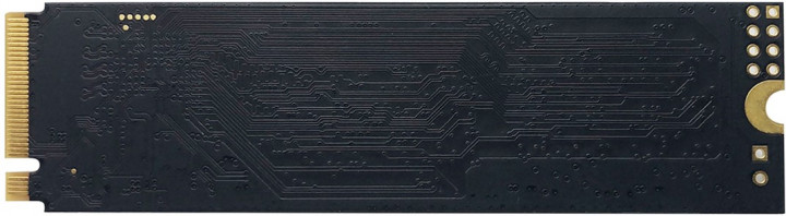 Накопичувач SSD NVMe M.2 256GB Patriot P300 (P300P256GM28) - зображення 2