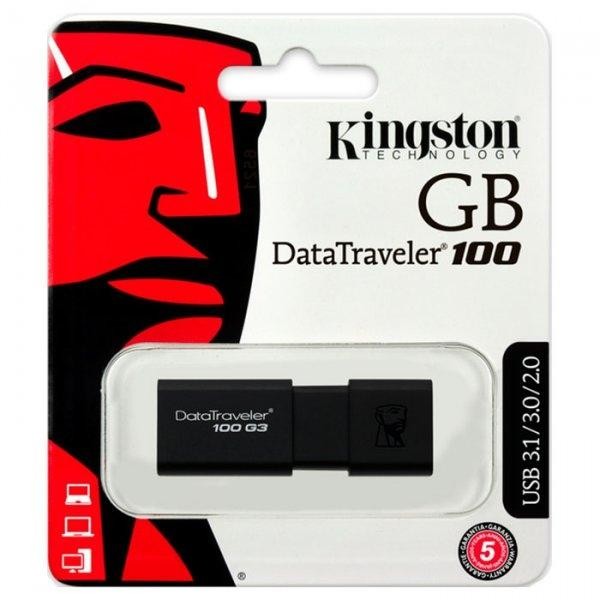 Флеш пам'ять USB 256Gb Kingston DT 100 G3 USB3.0 - зображення 2
