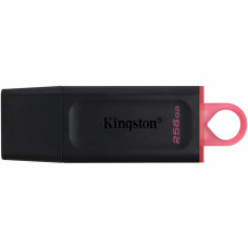 Флеш пам'ять USB 256 Gb Kingston DataTraveler Exodia Black/Pink USB3.2