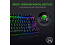 Клавіатура Razer BlackWidow V3 TKL Green (RZ03-03490700-R3R1) - зображення 5