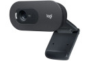 Вебкамера Logitech WebCam C505 HD (960-001364) - зображення 1