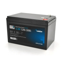 Акумуляторна батарея Merlion LiFePo4 12.8V-12Ah (LFP12.8-12US)