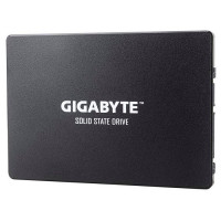 Накопичувач SSD 256GB Gigabyte (GP-GSTFS31256GTND)