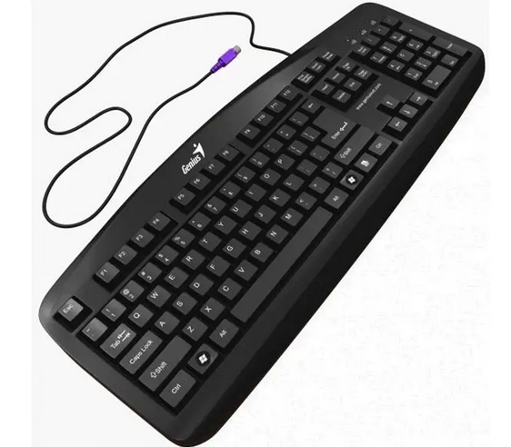 Клавіатура Genius KB-110 PS\/2  Black - зображення 1