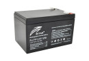 Акумуляторна батарея Ritar LiFePo4 12.8V-12Ah (R-LFP 12.8V 12Ah) - зображення 1