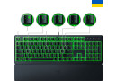 Клавіатура Razer Ornata V3 X USB Black (RZ03-04471900-R371) - зображення 4