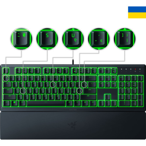 Клавіатура Razer Ornata V3 X USB Black (RZ03-04471900-R371) - зображення 4