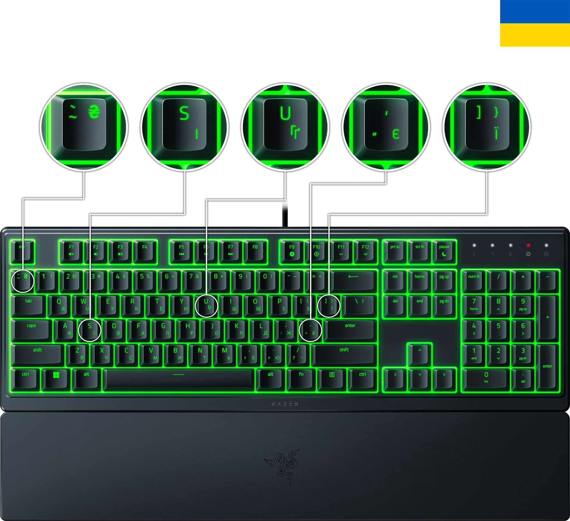 Клавіатура Razer Ornata V3 X USB Black (RZ03-04471900-R371) - зображення 4