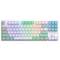 Клавіатура Hator Rockfall 2 Mecha TKL Signature Edition White/Mint (HTK-521-WWM)