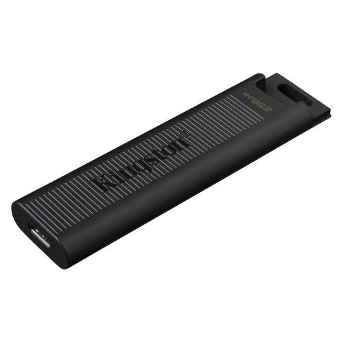 Флеш пам'ять USB 256Gb Kingston DataTraveler Max Black USB3.2 Gen 2 Type-C - зображення 1