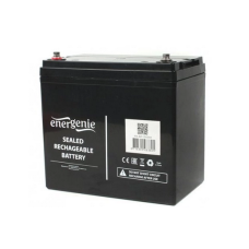 Акумуляторна батарея EnerGenie 12V 55Ah (BAT-12V55AH)