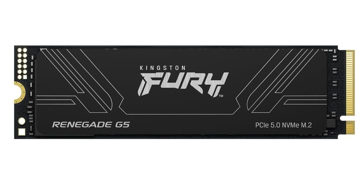 Накопичувач SSD NVMe M.2 2000GB Kingston FURY Renegade G5 (SFYR2S\/2T0) - зображення 1