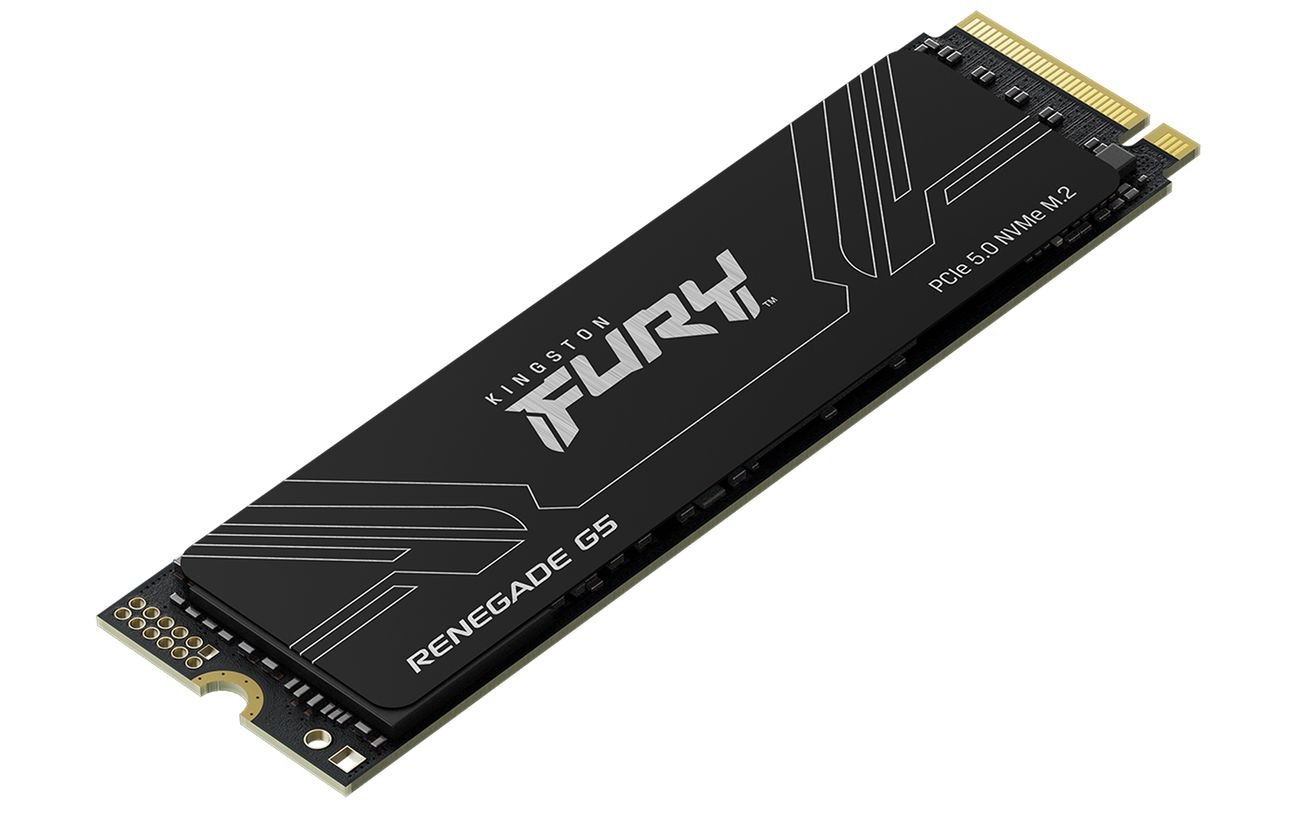 Накопичувач SSD NVMe M.2 2000GB Kingston FURY Renegade G5 (SFYR2S\/2T0) - зображення 2