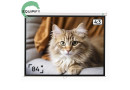 Екран проекційний настінний Equipify SGM-4302 - зображення 2