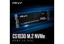 Накопичувач SSD NVMe M.2 250GB PNY CS1030 (M280CS1030-250-RB) - зображення 2
