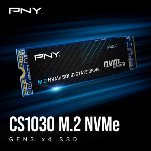 Накопичувач SSD NVMe M.2 250GB PNY CS1030 (M280CS1030-250-RB) - зображення 2