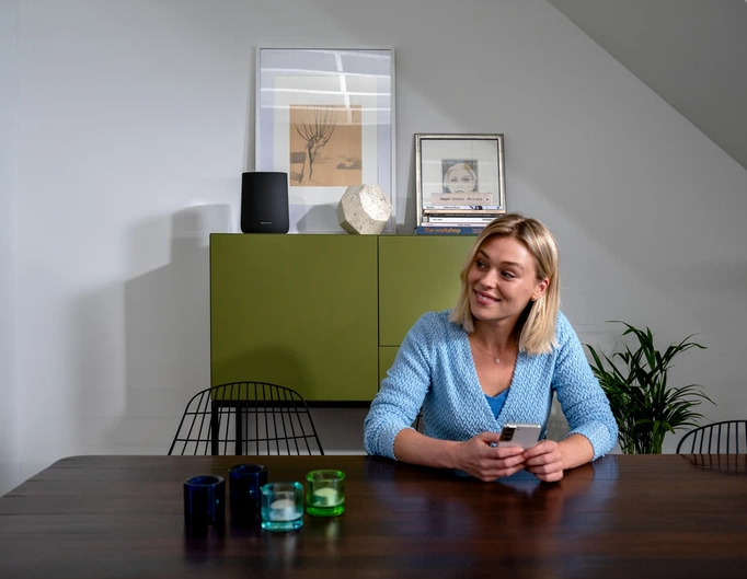 Колонка портативна Harman Kardon Enchant Speaker Black - зображення 6