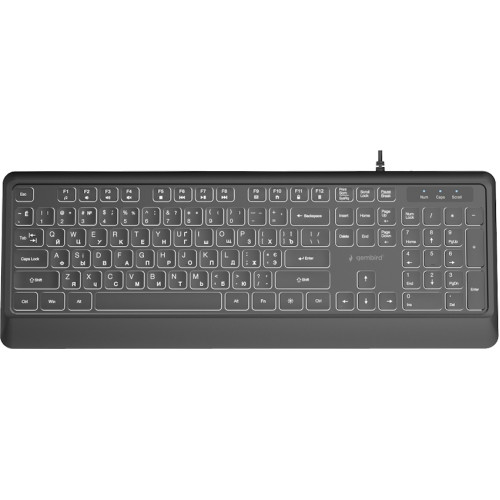 Клавіатура Gembird Slim Multimedia White Backlight USB Black (KB-UML-04-CYRL) - зображення 1