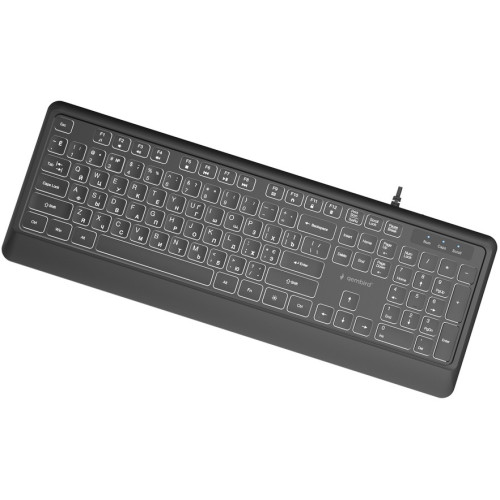 Клавіатура Gembird Slim Multimedia White Backlight USB Black (KB-UML-04-CYRL) - зображення 2