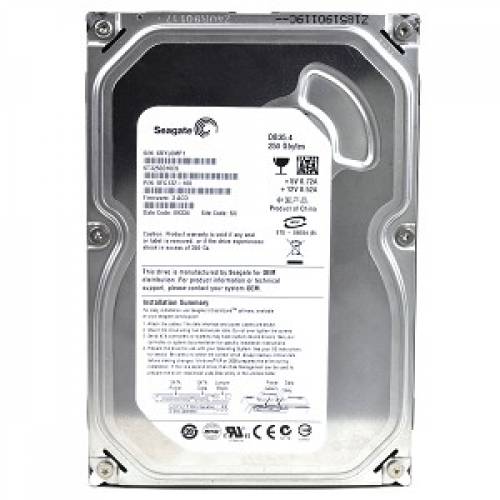 Жорсткий диск HDD 250Gb Seagate ST3250312CS_ - зображення 1